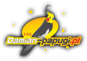 Damian-papugi.pl